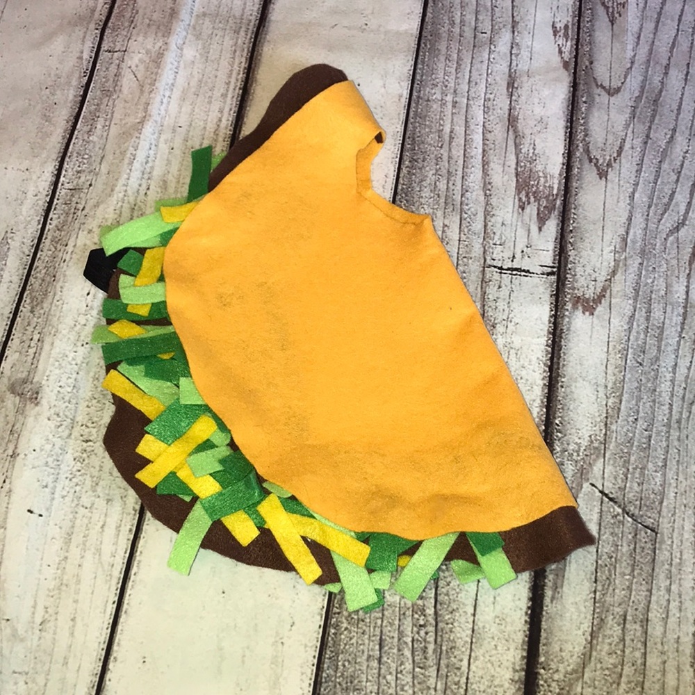 Handmade taco costume
